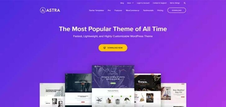 Astra Theme