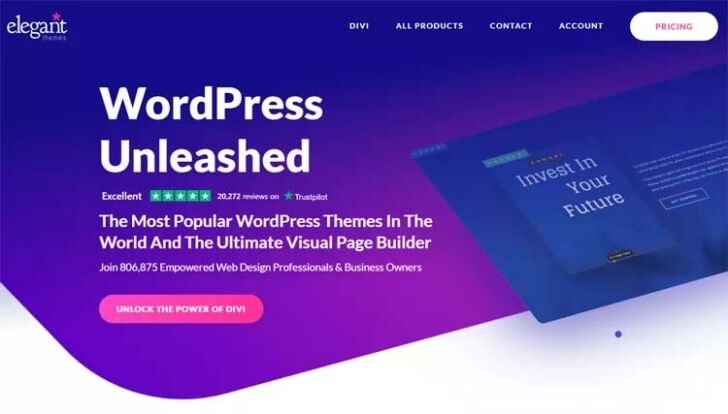 Divi Theme