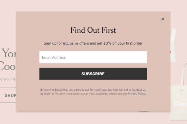 Coherence with the website design