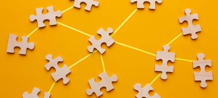 How Often Should I Update Installed WordPress Plugins?