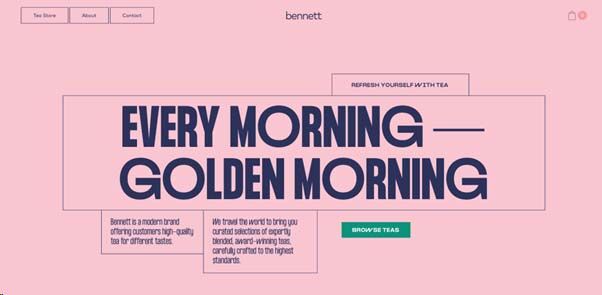 Small Business Website Design Best Practices & Examples