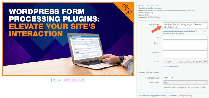Add alt text to all images for better SEO​