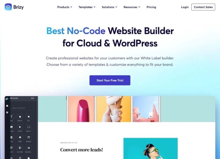 Brizy - WordPress Theme