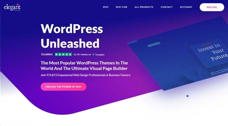 Divi Builder