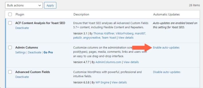 Enabling Auto Updates for Plugins