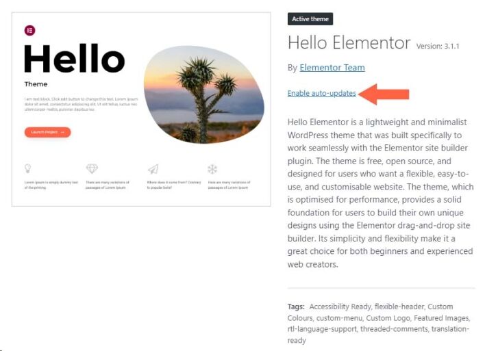Enabling Auto Updates for Themes