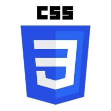 css3 logo