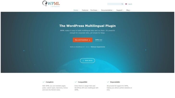 WPML (WordPress Multilingual Plugin)