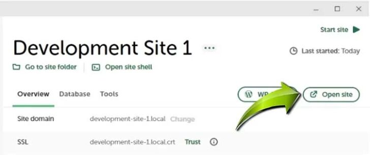 Open WordPress Website