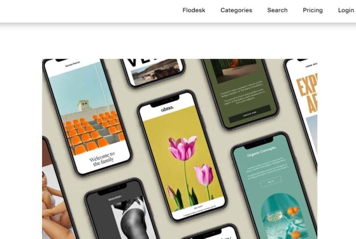 Branded Newsletters