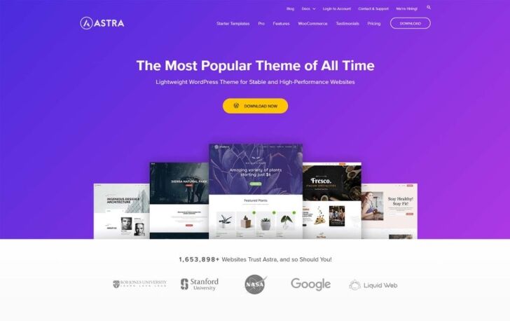 Astra – A Lightweight and Customisable Theme