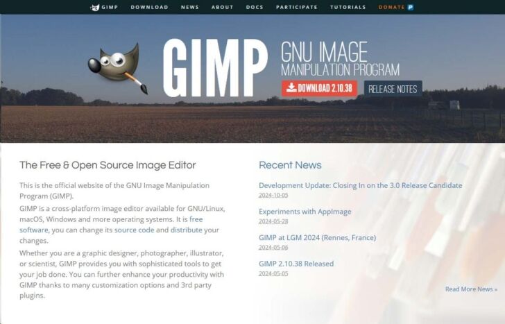 gimp
